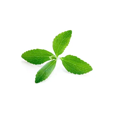 Stevia