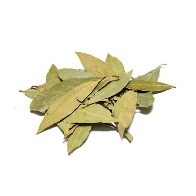 Laurel