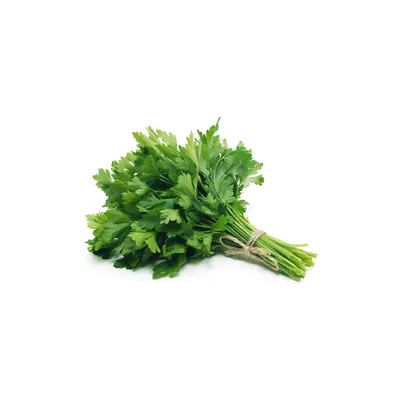 Perejil